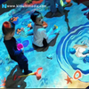 Interactive Sand Beach