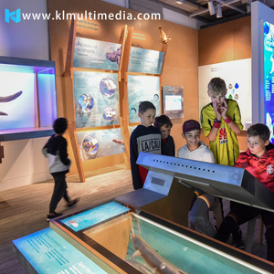 Interactive Museum Exhibits