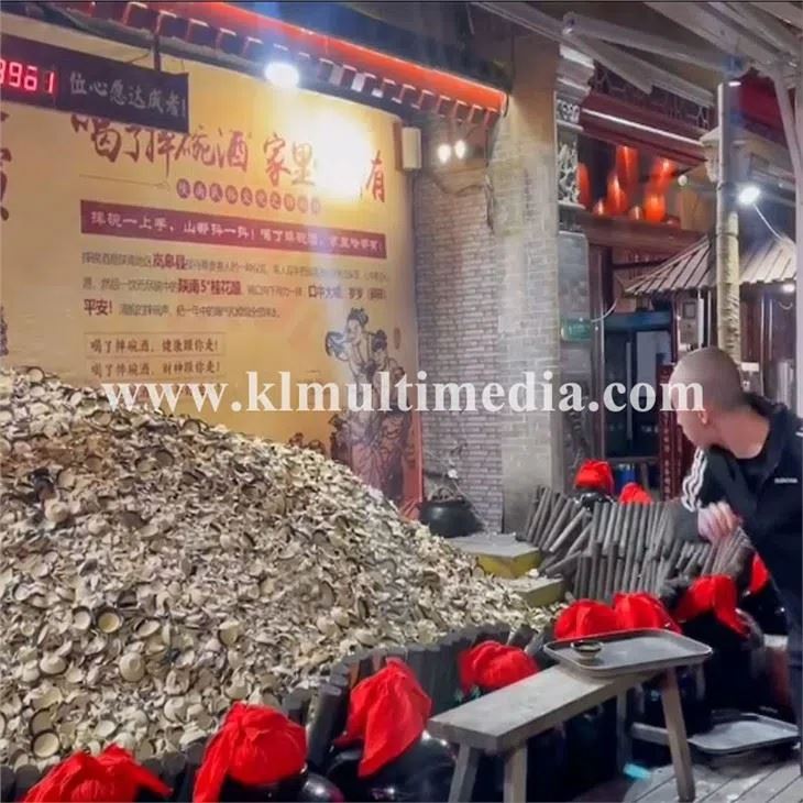 Interactive Installation