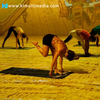 yoga immersive