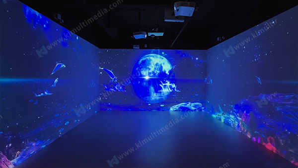 Starry Night Dolphin