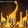 Outdoor decorative lights