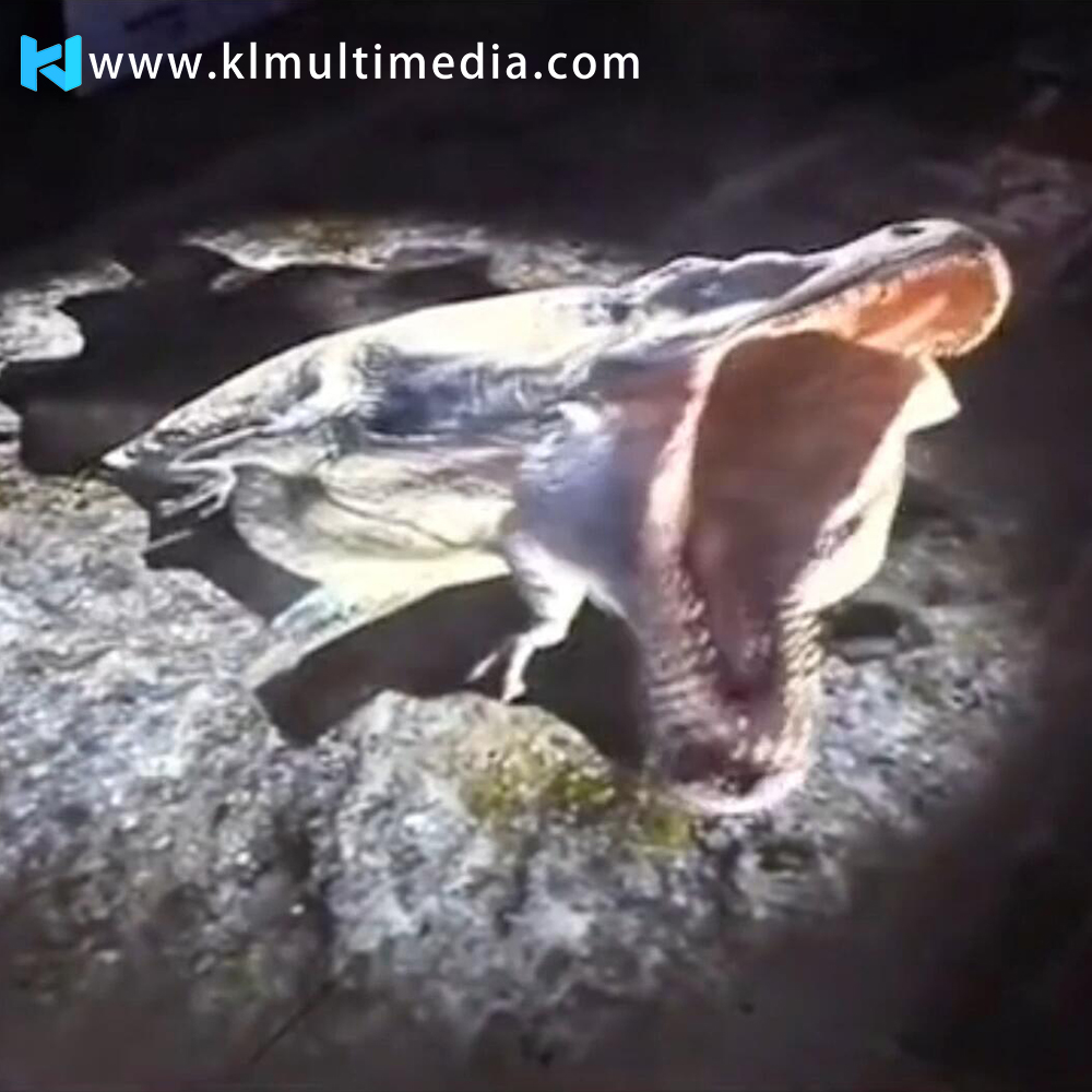 dinosaur immersive experience