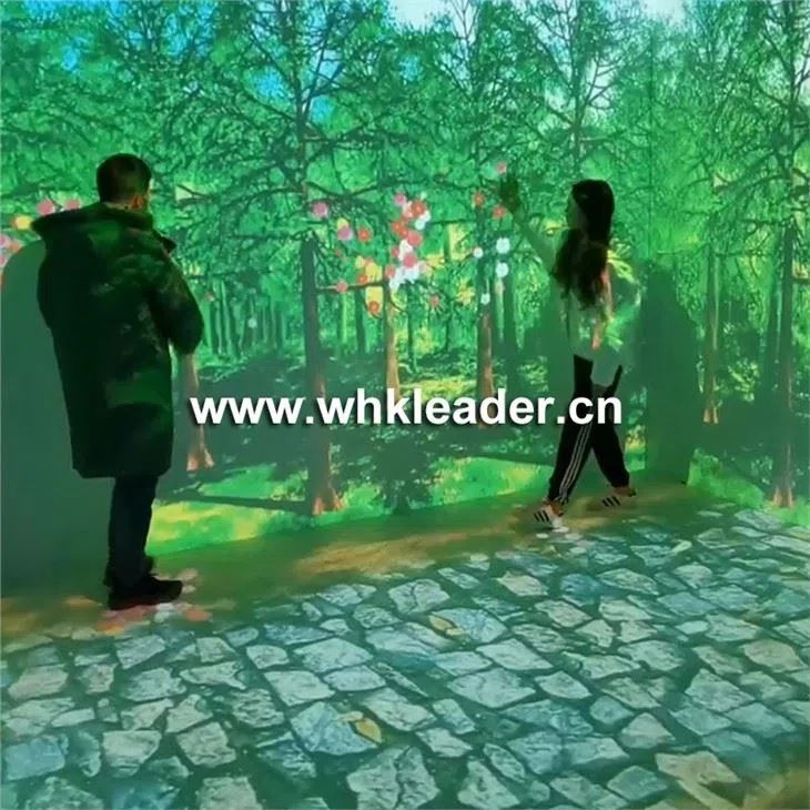 Immersive Projection